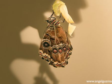 Proyecto Fotográfico