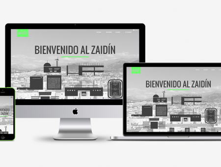 Web Barrio Zaidín